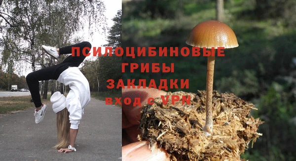 ПСИЛОЦИБИНОВЫЕ ГРИБЫ Губаха