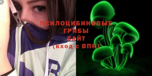 синтетический гашиш Гусиноозёрск