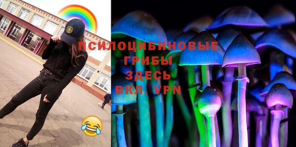 мет Гусев