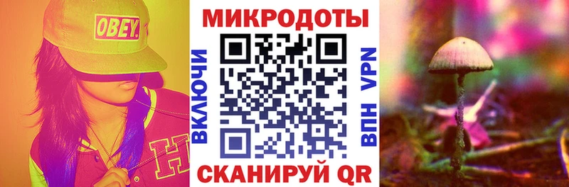 Галлюциногенные грибы Magic Shrooms  купить наркоту  omg ссылка  Дубовка 